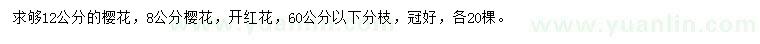 求购8、12公分樱花