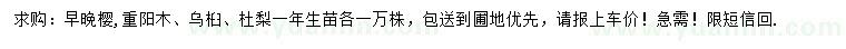 求购早樱、晚樱、重阳木等