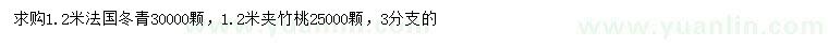 求购1.2米法国冬青、夹竹桃