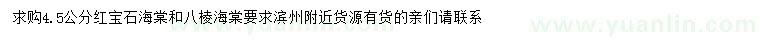 求购4、5公分红宝石海棠、八棱海棠