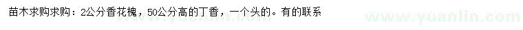 求购2公分香花槐、高50公分丁香