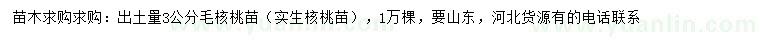 求购出土量3公分毛核桃苗（实生核桃苗）