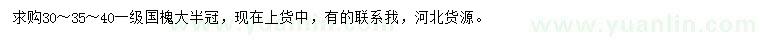 求购30、35、40公分国槐