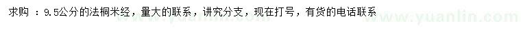 求购米径9.5公分法桐