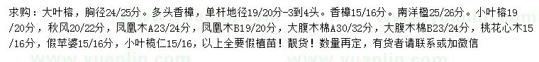 求购大叶榕、多头香樟、南洋楹等