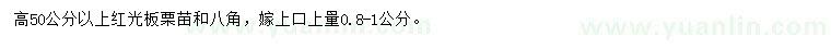 求购高50公分以上红光栗、八角