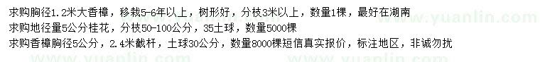 求购胸径1.2米香樟、地径5公分桂花