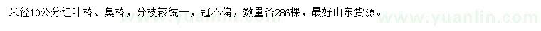 求购米径10公分红叶椿、臭椿