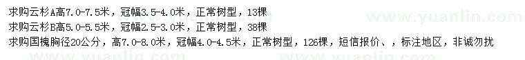 求购高5-5.5、7-7.5米云杉、胸径20公分国槐