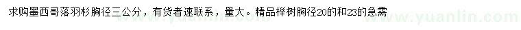 求购胸径3公分墨西哥落羽杉、20、23公分榉树