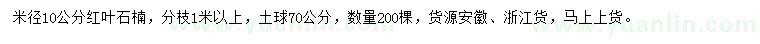 求购米径10公分红叶石楠