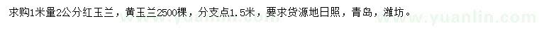 求购1米量2公分红玉兰、黄玉兰