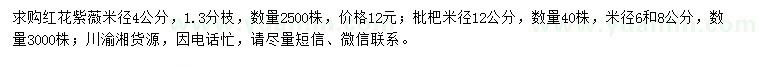 求购米径4公分红花紫薇、12公分枇杷