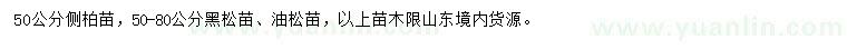 求购侧柏小苗、黑松小苗、油松小苗等