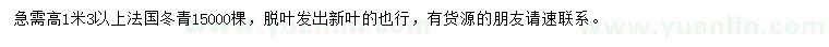 求购高1.3米以上法国冬青