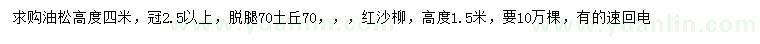 求购高4米油松、1.5米红沙柳