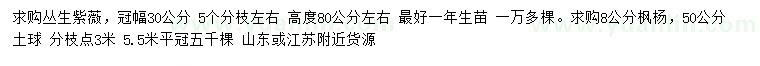 求购冠幅30公分丛生紫薇、8公分枫杨