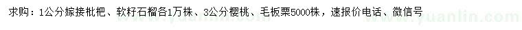 求购1公分嫁接枇杷、软籽石榴