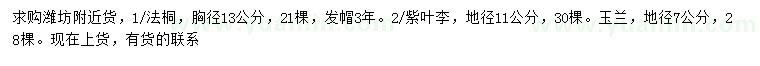 求购法桐、紫叶李、玉兰