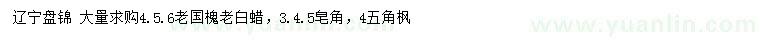 求购老国槐、老白蜡、皂角等