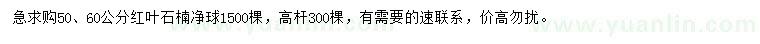 求购50、60公分红叶石楠球