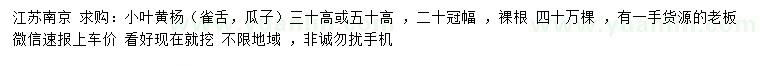 求购高30、50公分小叶黄杨（雀舌、瓜子）