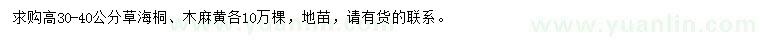 求购高30-40公分草海桐、木麻黄