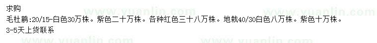 求购20、15公分毛杜鹃