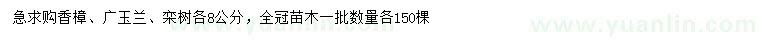 求购香樟、广玉兰、栾树