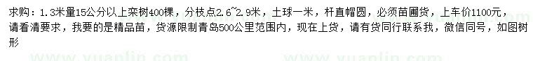 求购1.3米量15公分以上栾树