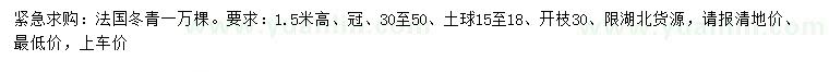 求购高1.5米法国冬青