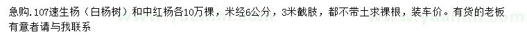 求购米径6公分107速生杨（白杨树）、中红杨