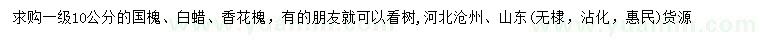 求购国槐、白蜡、香花槐