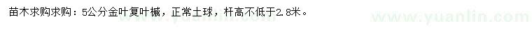 求购5公分金叶复叶槭