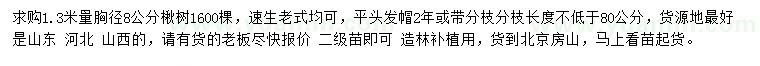 求购1.3米量胸径8公分楸树