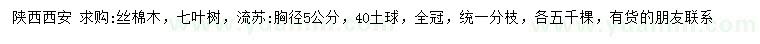 求购丝棉木、七叶树、流苏