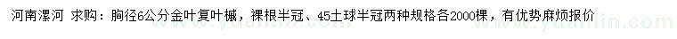 求购胸径6公分金叶复叶槭