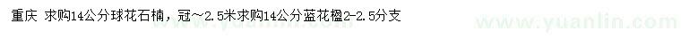 求购14公分石楠球花、蓝花楹