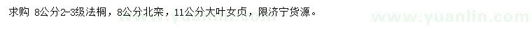 求购法桐、北栾、大叶女贞