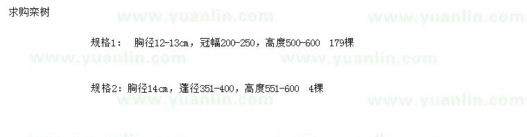 求购胸径12-13、14公分栾树