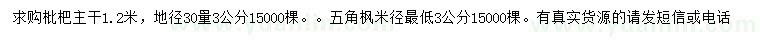 求购地径30量3公分枇杷、米径3公分以上五角枫