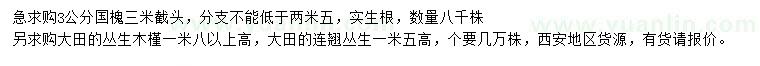 求购国槐、丛生木槿、丛生连翘