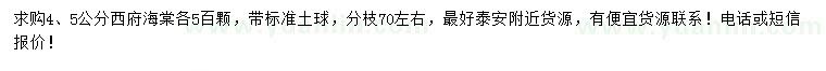 求购4、5公分西府海棠