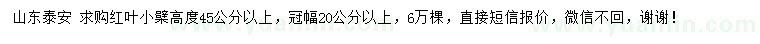 求购高45公分以上红叶小檗