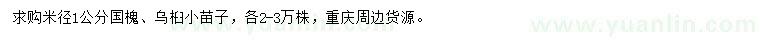 求购米径1公分国槐小苗、乌桕小苗