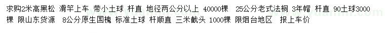 求购黑松、老式法桐、国槐