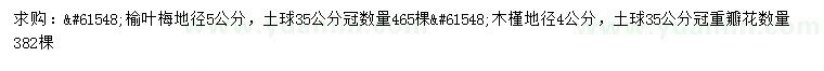 求购地径5公分榆叶梅、4公分木槿