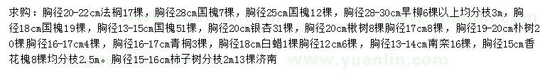 求购法桐、国槐、旱柳等