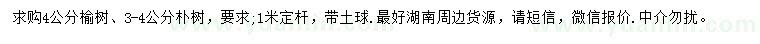 求购4公分榆树、3-4公分朴树