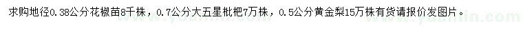 求购花椒苗、大五星枇杷、黄金梨